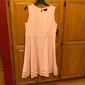 Beautiful pink fit and flair dress.